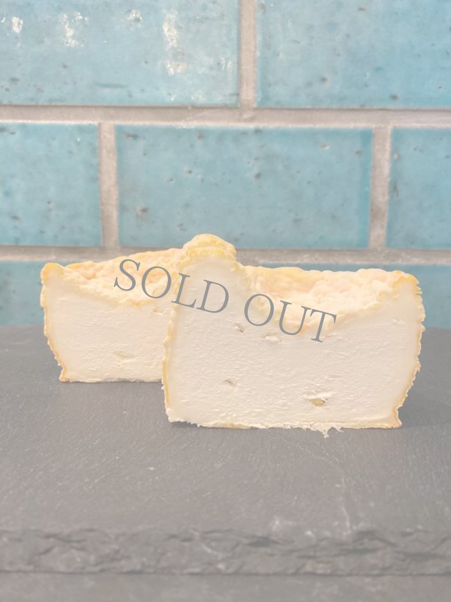 画像3: ラングル ＜LANGRES＞ (3)