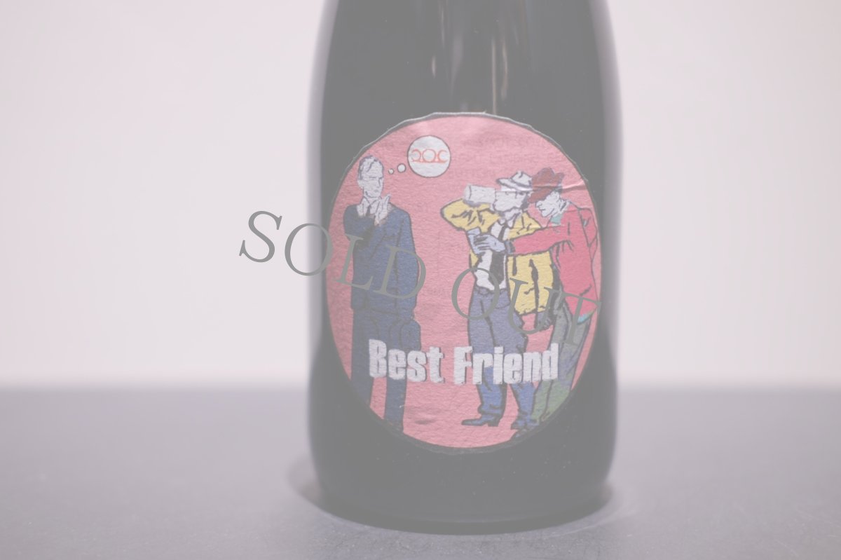 画像2: ◆ピットナウアー / ベストフレンド (2)