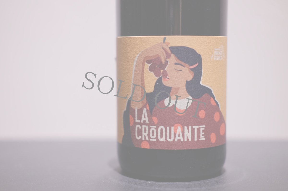 画像2: ◆ドメーヌ・レ・ロッシュ・ブルー / ブルイィ　ラ・クロカント (2)