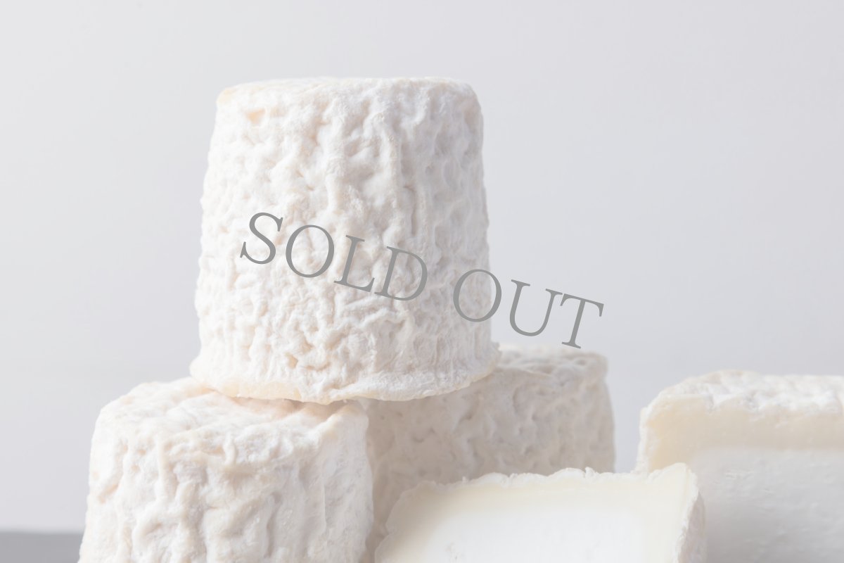 画像2: シャビシュー＜CHABICHOU＞ (2)