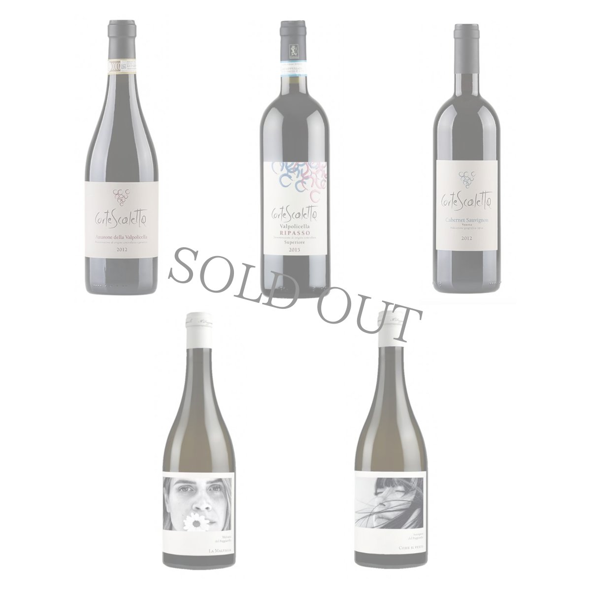 画像3: 《六本木ヒルズ》3/15(土)伝統と革新が織りなす至高のイタリアワイン5種とチーズを味わう会 (3)