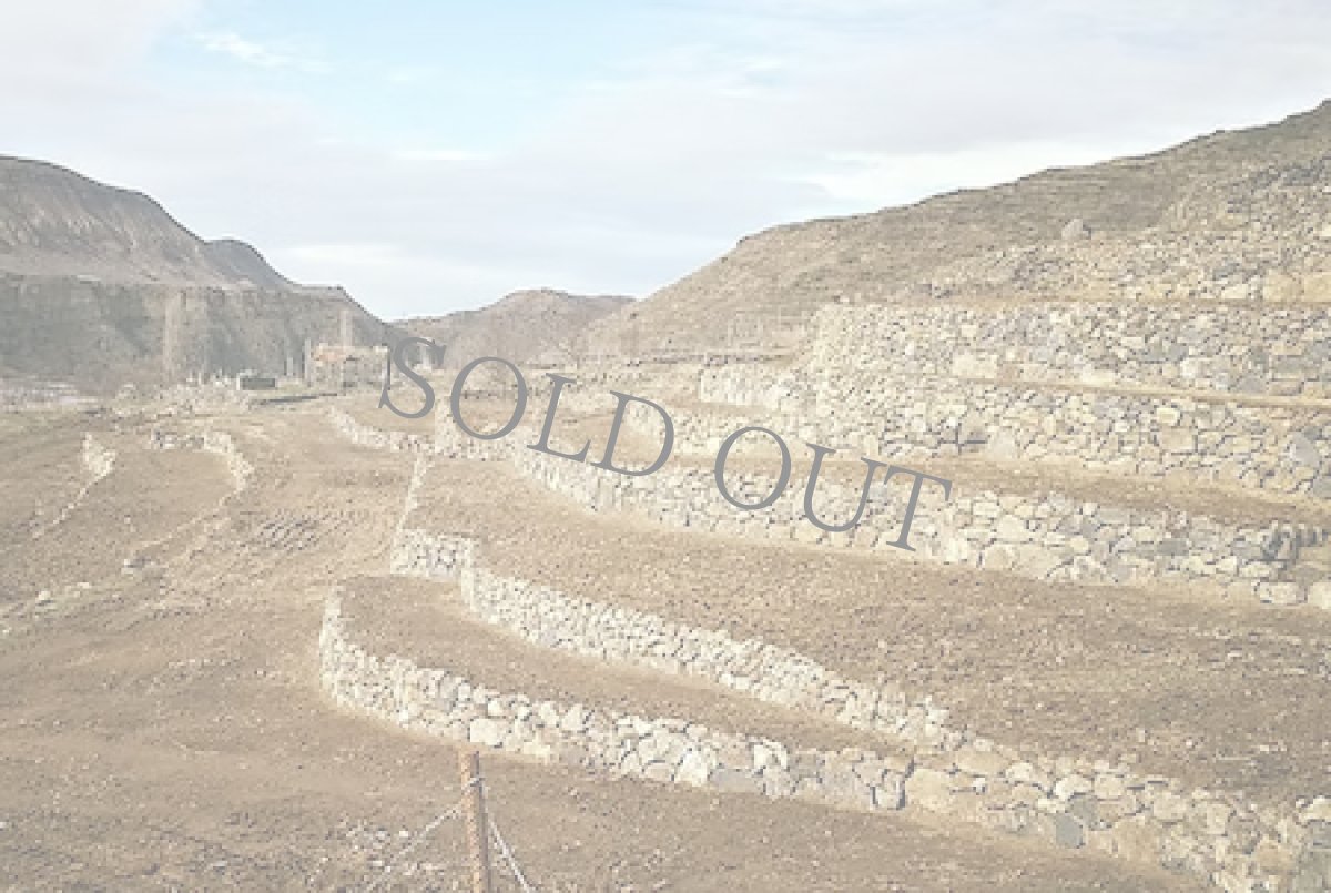 画像5: 三軒茶屋本店》3/16(日) ジョージア&イタリアワイン5種×チーズ5種"ノンナアンドシディ"来店試飲試食販売会 (5)