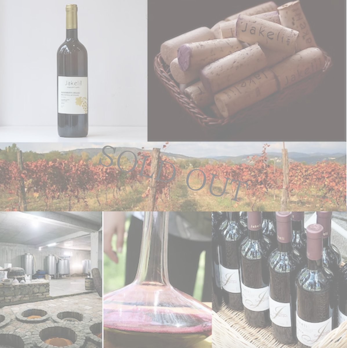 画像4: 三軒茶屋本店》3/16(日) ジョージア&イタリアワイン5種×チーズ5種"ノンナアンドシディ"来店試飲試食販売会 (4)