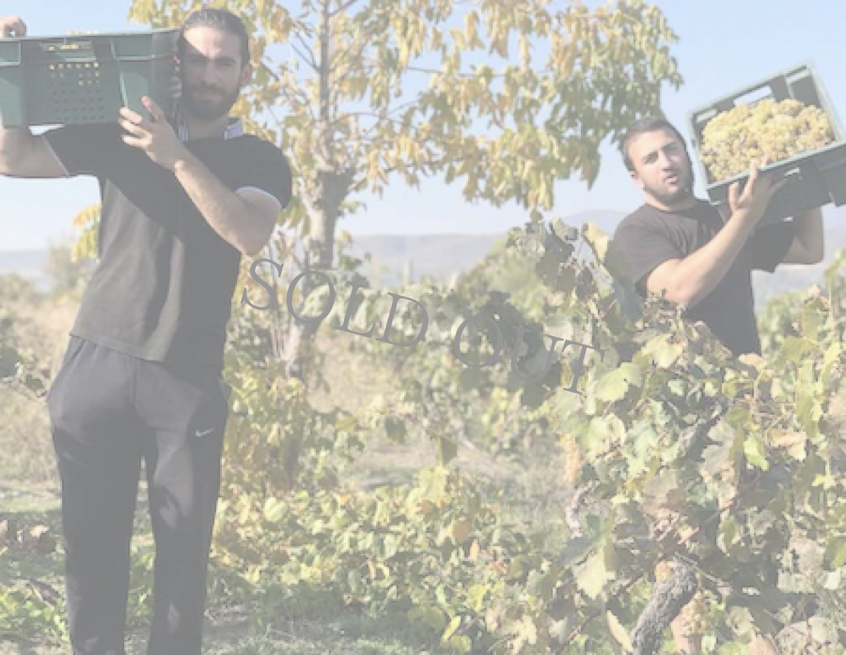 画像3: 三軒茶屋本店》3/16(日) ジョージア&イタリアワイン5種×チーズ5種"ノンナアンドシディ"来店試飲試食販売会 (3)