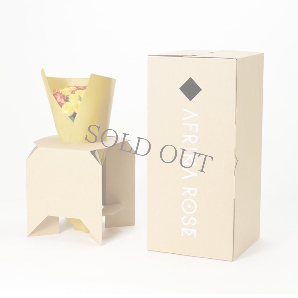 画像9: ＼御中元ギフトやお祝いに！／【4日前までのご予約必須、発送】AFRIKA ROSE×LAMMASコラボギフトボックス4 (9)