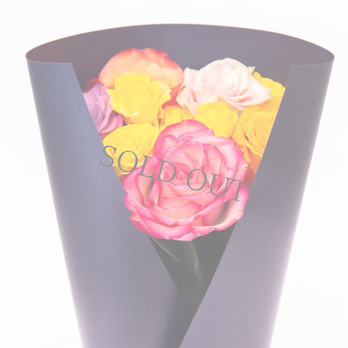 画像3: ＼御中元ギフトやお祝いに！／【4日前までのご予約必須、発送】AFRIKA ROSE×LAMMASコラボギフトボックス4 (3)