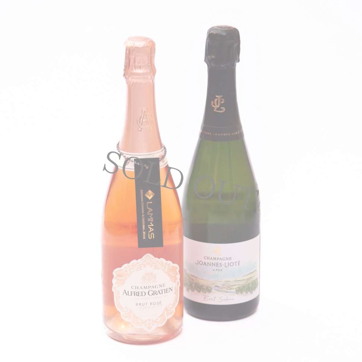 画像6: ＼御中元ギフトやお祝いに！／【4日前までのご予約必須、六本木ヒルズ店受取りのみ】AFRIKA ROSE×LAMMASコラボギフトボックス4 (6)