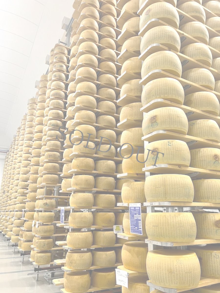 画像2: パルミジャーノ・レッジャーノ　モンターニャ48ヶ月熟成＜PARMIGIANO REGGIANO MONTAGNA 48mesi＞ (2)