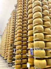 画像2: パルミジャーノ・レッジャーノ　モンターニャ24ヶ月熟成＜PARMIGIANO REGGIANO MONTAGNA 24mesi＞ (2)