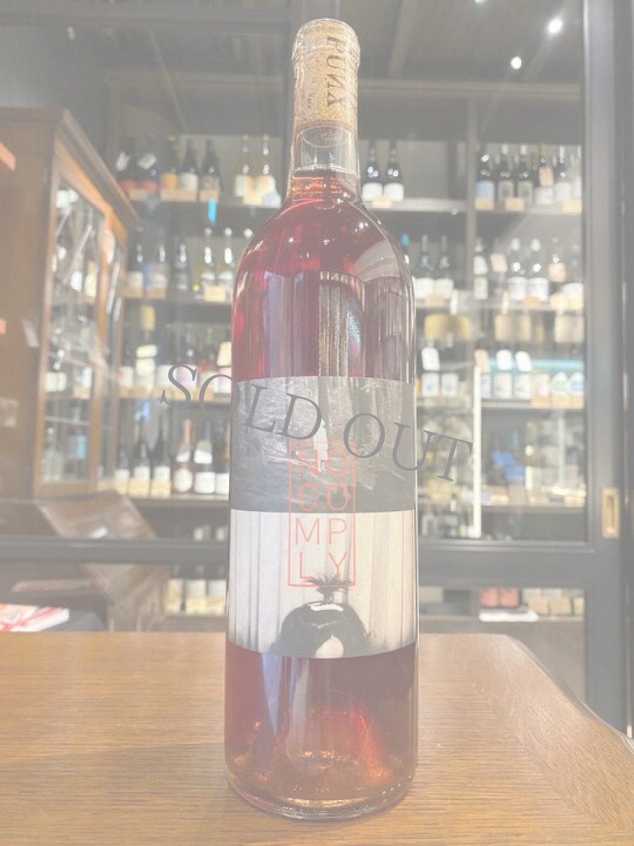 画像1: ◆ドゥ・パンクス / ノーコンプライ (1)