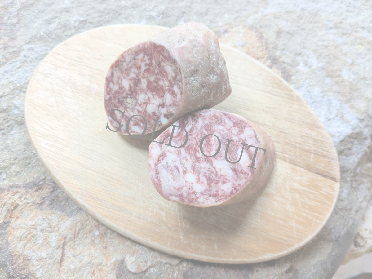 画像1: サルシチョン イベリコ ベジョータ 約120~130g Salchichon Iberico Bejota (1)