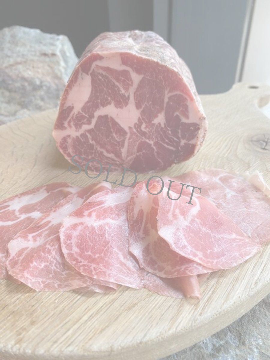 画像1: コッパ COPPA (1)