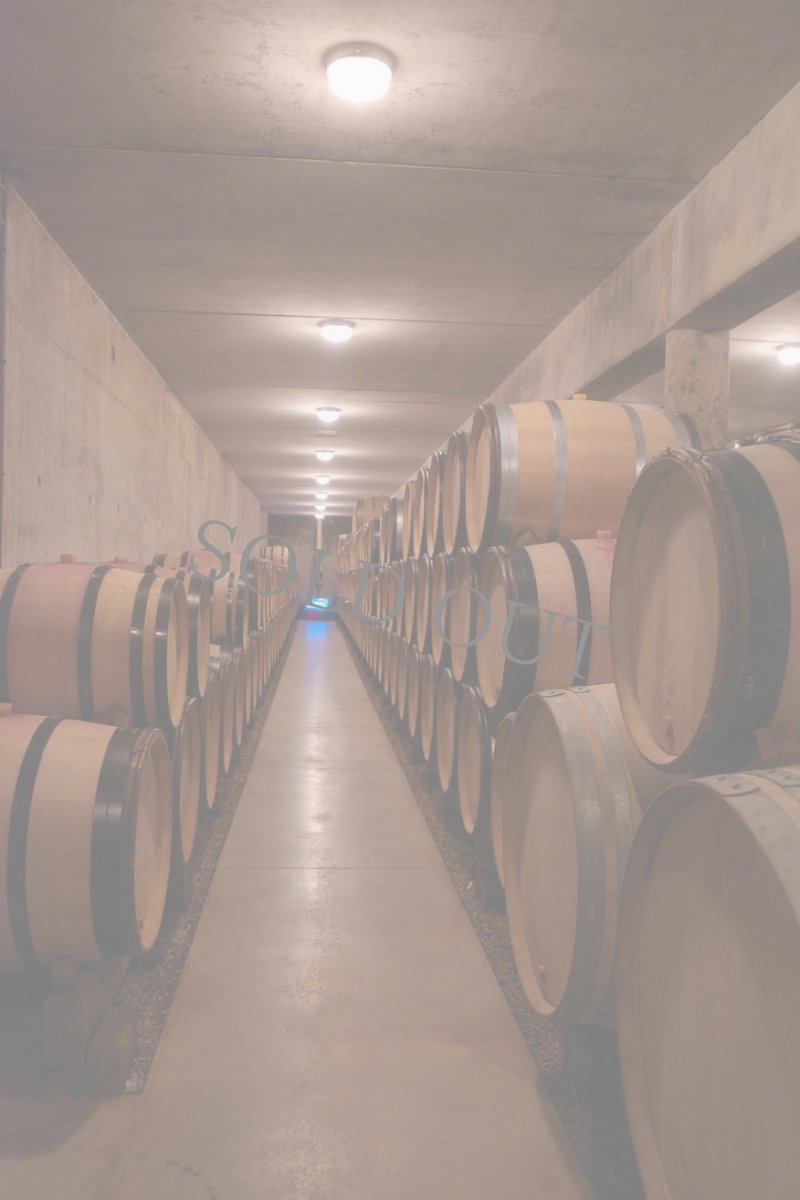 画像6: 《虎ノ門ヒルズ店》10月26日(日) LAMMAS チーズ＆ワイン ペアリング会 (6)