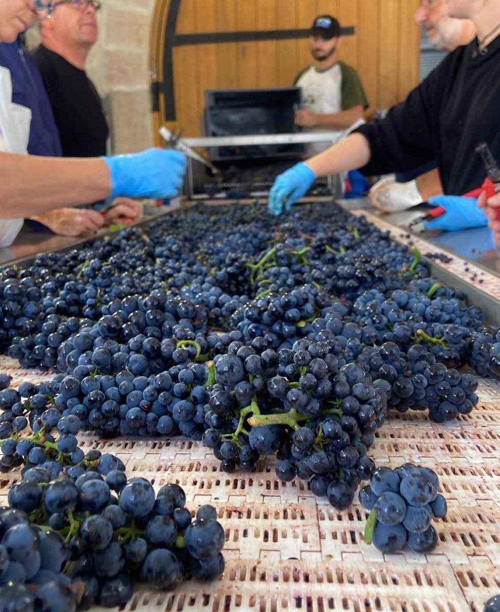 画像5: 《虎ノ門ヒルズ店》12月12(金) 【生産者来日 / ユドロ・バイエ】一般様向け試飲試食会 (5)