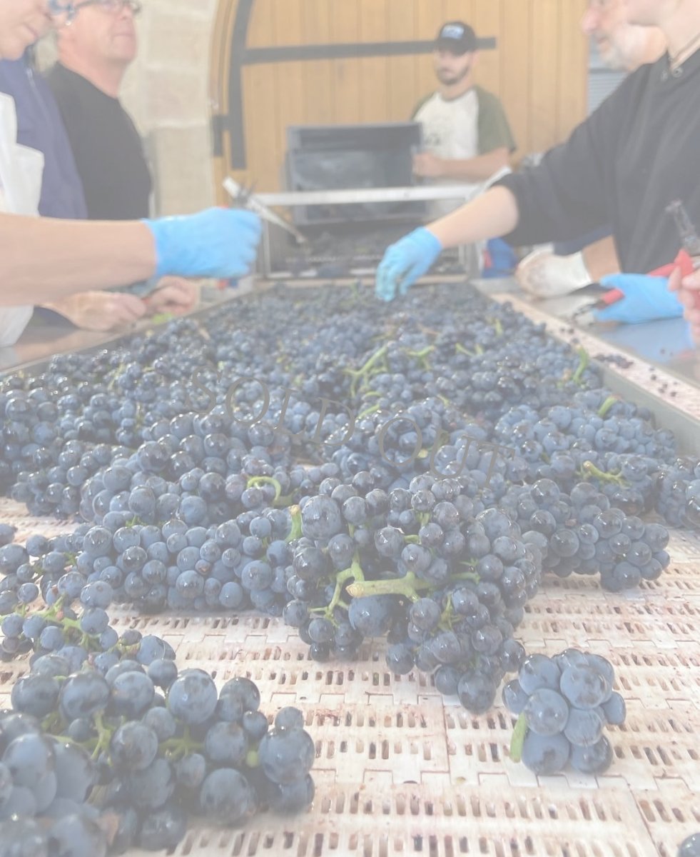 画像9: 《虎ノ門ヒルズ店》12月12(金) 【生産者来日 / ユドロ・バイエ】一般様向け試飲試食会 (9)