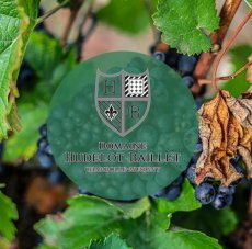 画像8: 《虎ノ門ヒルズ店》12月12(金) 【生産者来日 / ユドロ・バイエ】一般様向け試飲試食会 (8)