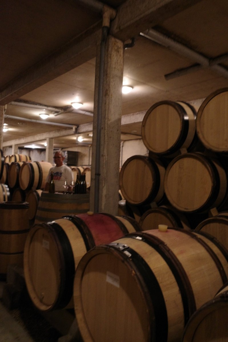 画像7: 《虎ノ門ヒルズ店》12月12(金) 【生産者来日 / ユドロ・バイエ】一般様向け試飲試食会 (7)