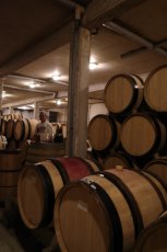 画像7: 《虎ノ門ヒルズ店》12月12(金) 【生産者来日 / ユドロ・バイエ】一般様向け試飲試食会 (7)