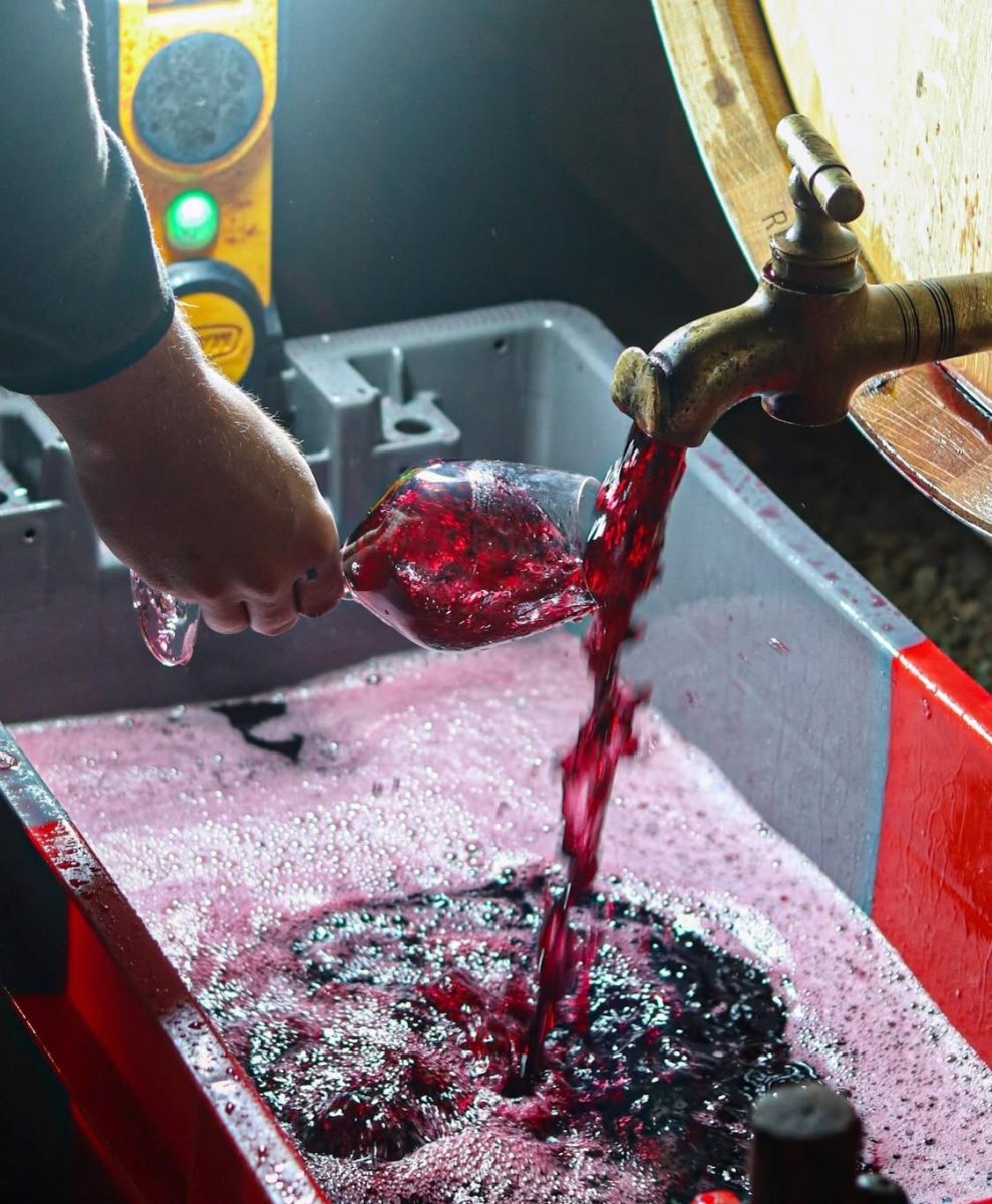 画像4: 《虎ノ門ヒルズ店》12月12(金) 【生産者来日 / ユドロ・バイエ】一般様向け試飲試食会 (4)