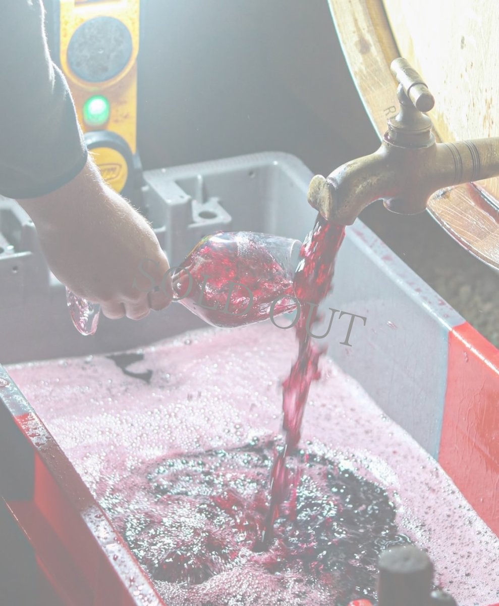 画像8: 《虎ノ門ヒルズ店》12月12(金) 【生産者来日 / ユドロ・バイエ】一般様向け試飲試食会 (8)