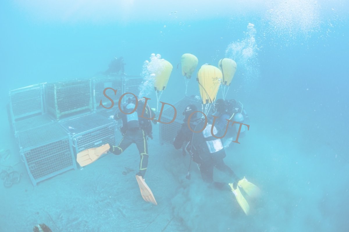 画像8: 【期間限定】SUBRINA×LAMMAS 海底熟成ワインとチーズ熟成士が手がけるチーズのペアリングセット (8)