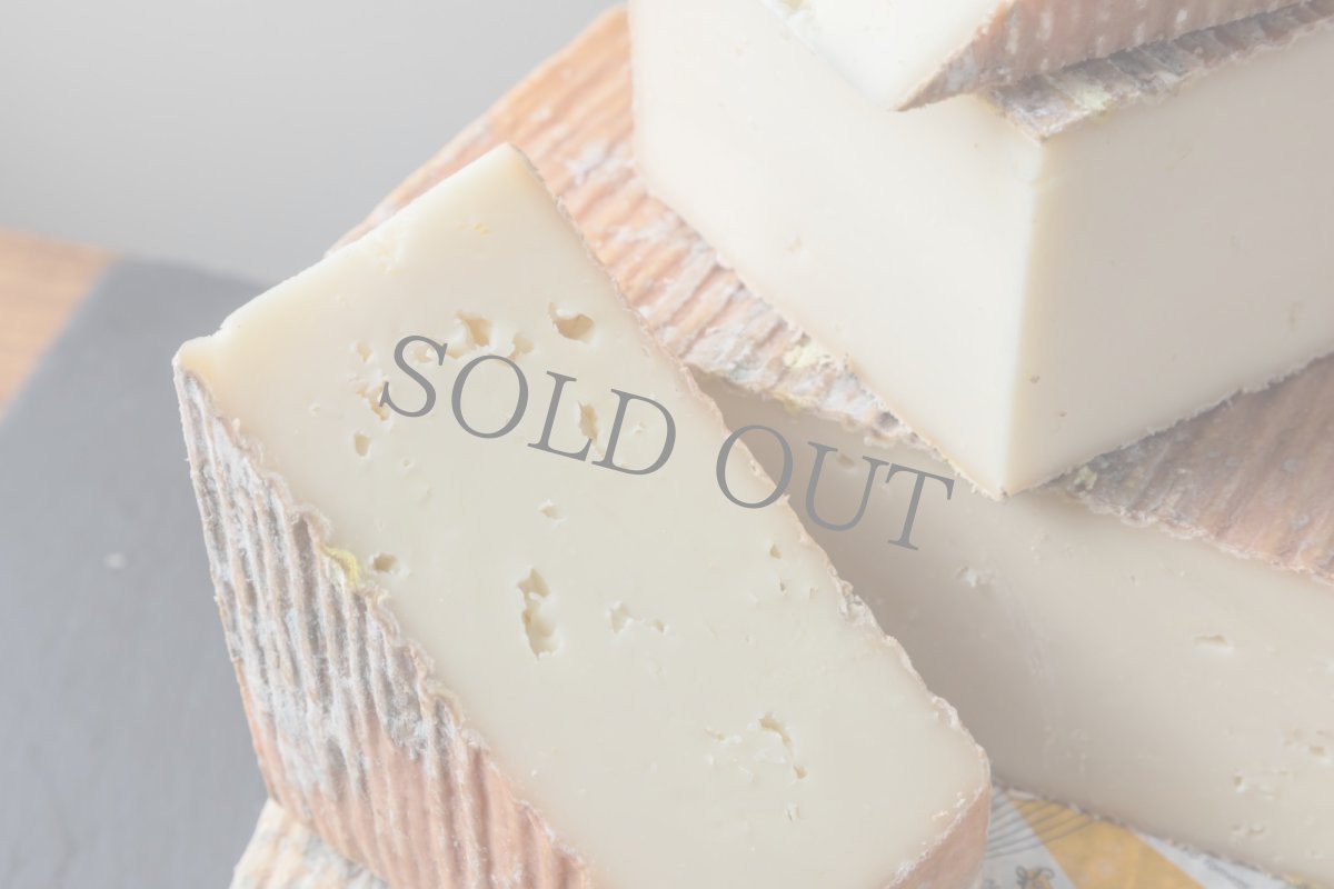 画像3: クアデルディブーファラ＜QUADER DI BUFALA＞ (3)