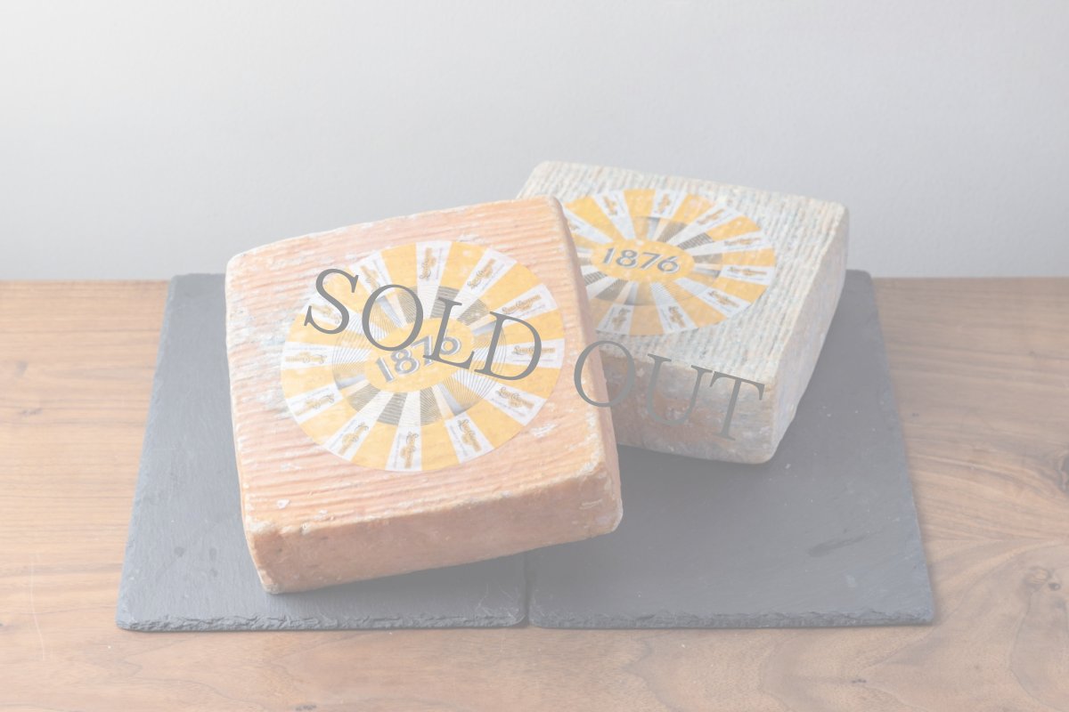 画像1: クアデルディブーファラ＜QUADER DI BUFALA＞ (1)