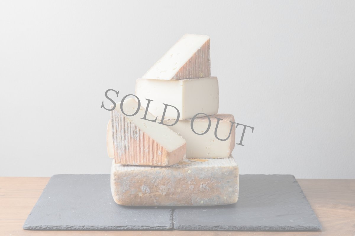 画像2: クアデルディブーファラ＜QUADER DI BUFALA＞ (2)