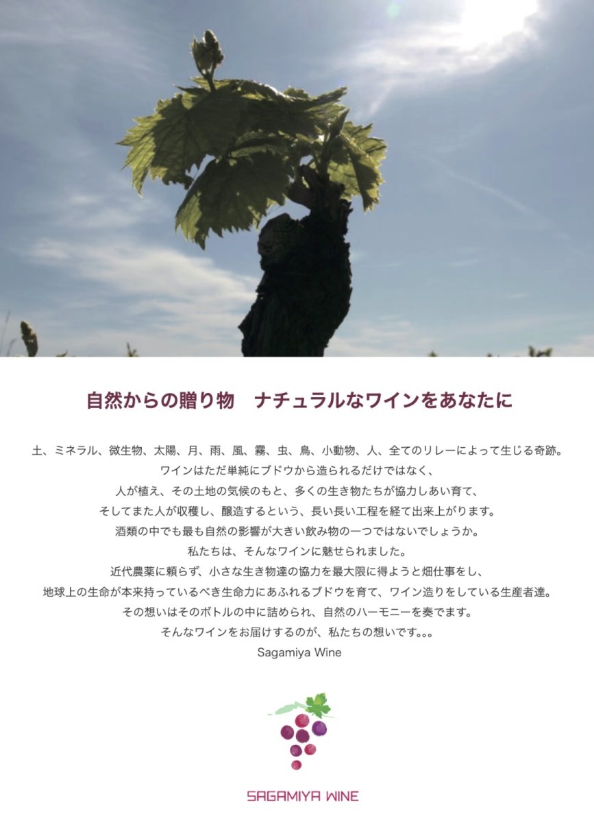画像2: 《三軒茶屋本店》8/23(日) 相模屋本店を迎えて―ブルゴーニュと熟成チーズ (2)