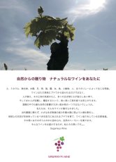 画像2: 《三軒茶屋本店》8/23(日) 相模屋本店を迎えて―ブルゴーニュと熟成チーズ (2)