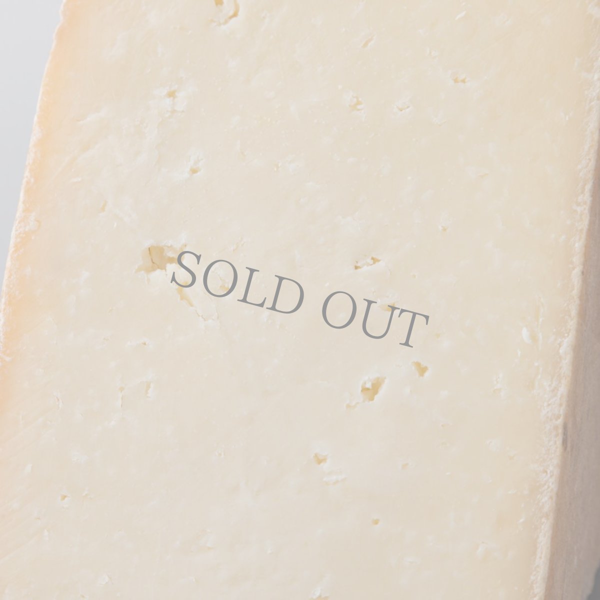 画像2: ブラ・ドゥーロ＜BRA DURO＞ (2)