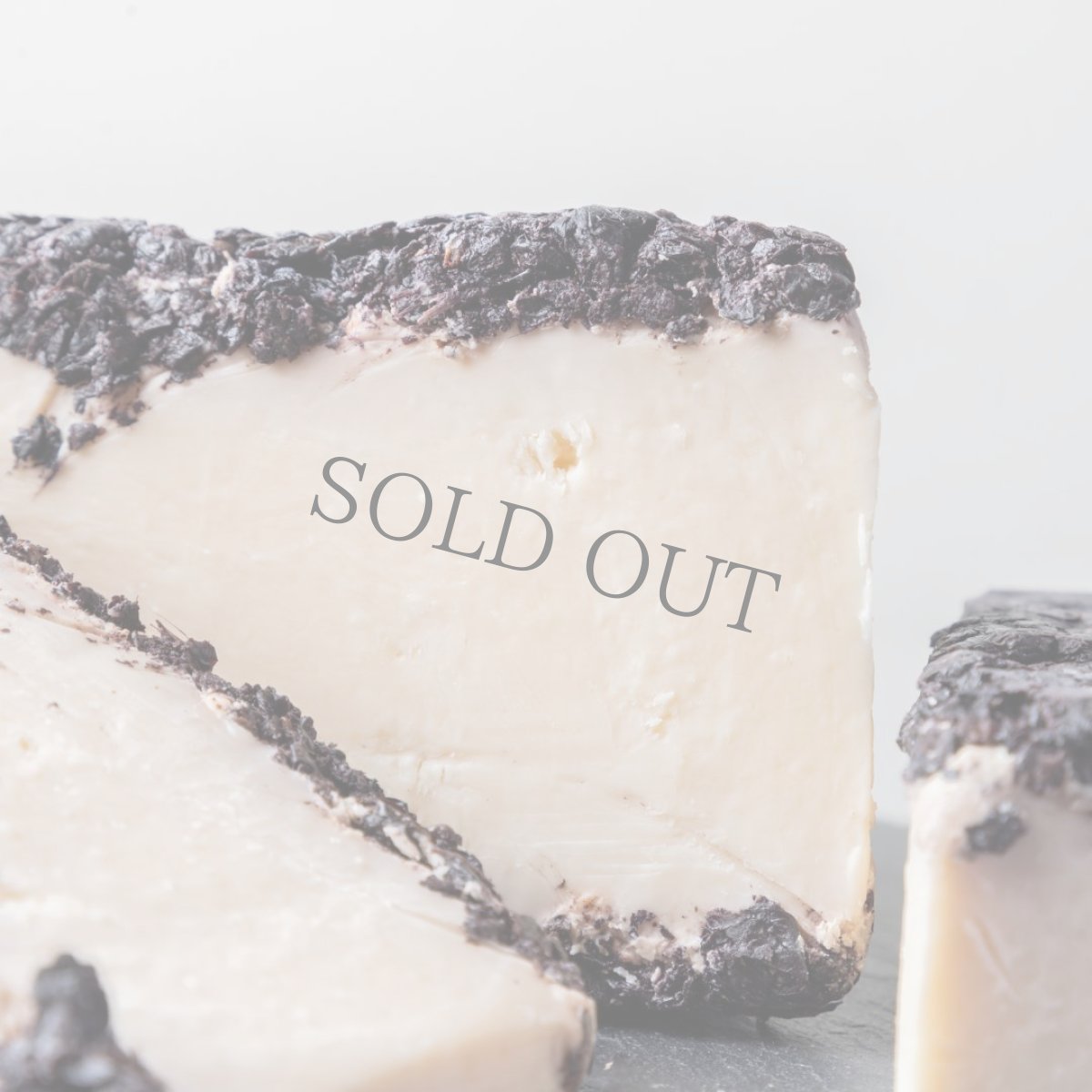 画像2: テストゥーン・アル・バローロ＜TESTUN AL BAROLO＞ (2)