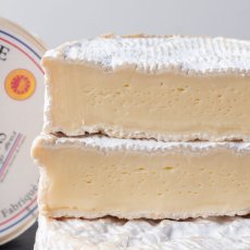 画像2: カマンベール・ド・ノルマンディ＜CAMEMBERT DE NORMANDIE＞ (2)