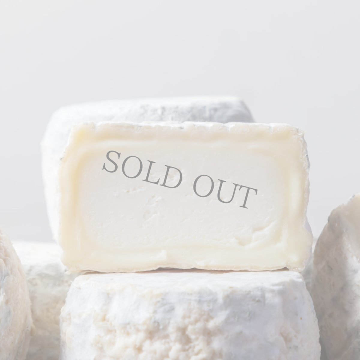 画像2: クロタン ドゥ シャビニオル＜CROTTIN DE CHAVIGNOL＞ (2)