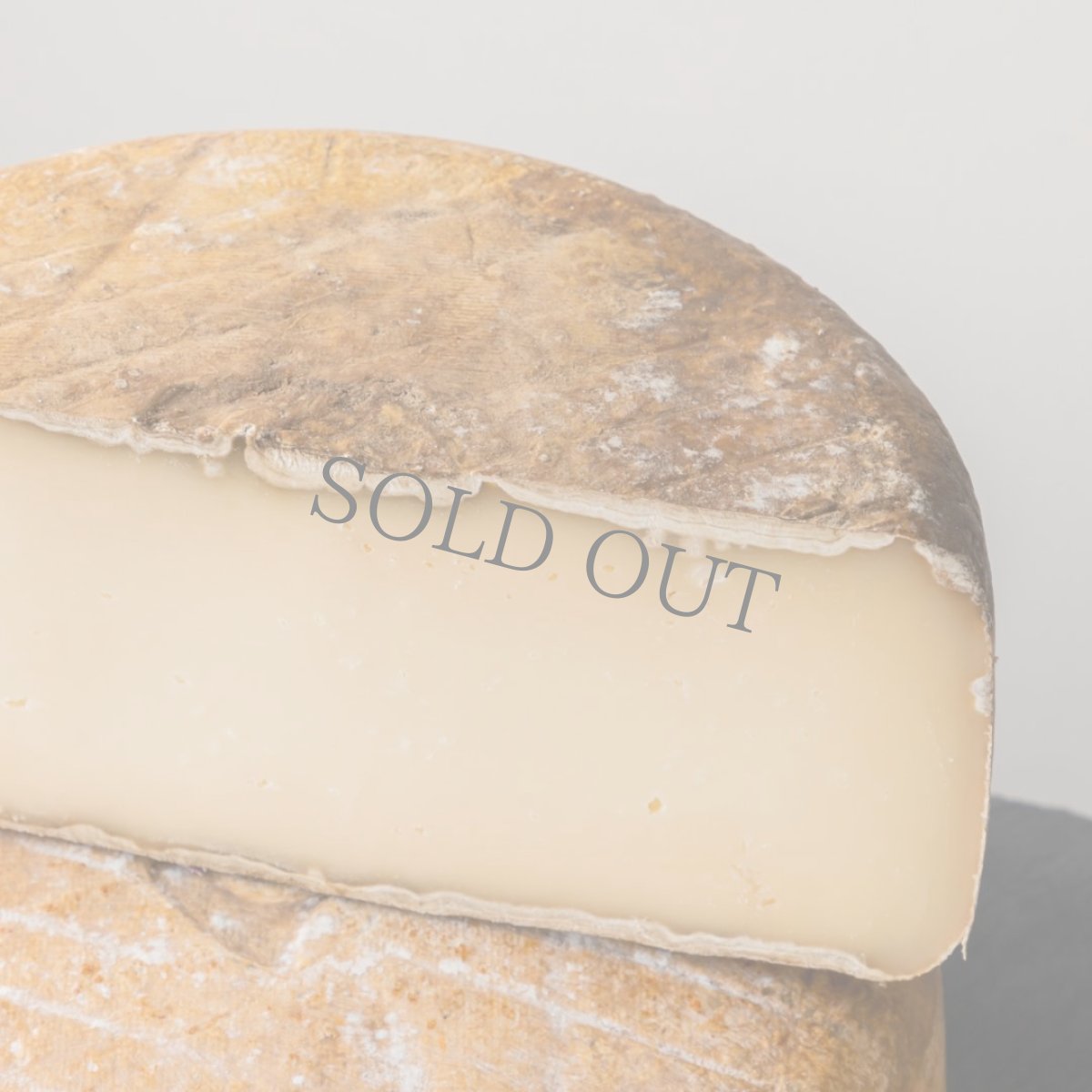 画像2: オッソーイラティ＜OSSAU IRATY＞ (2)