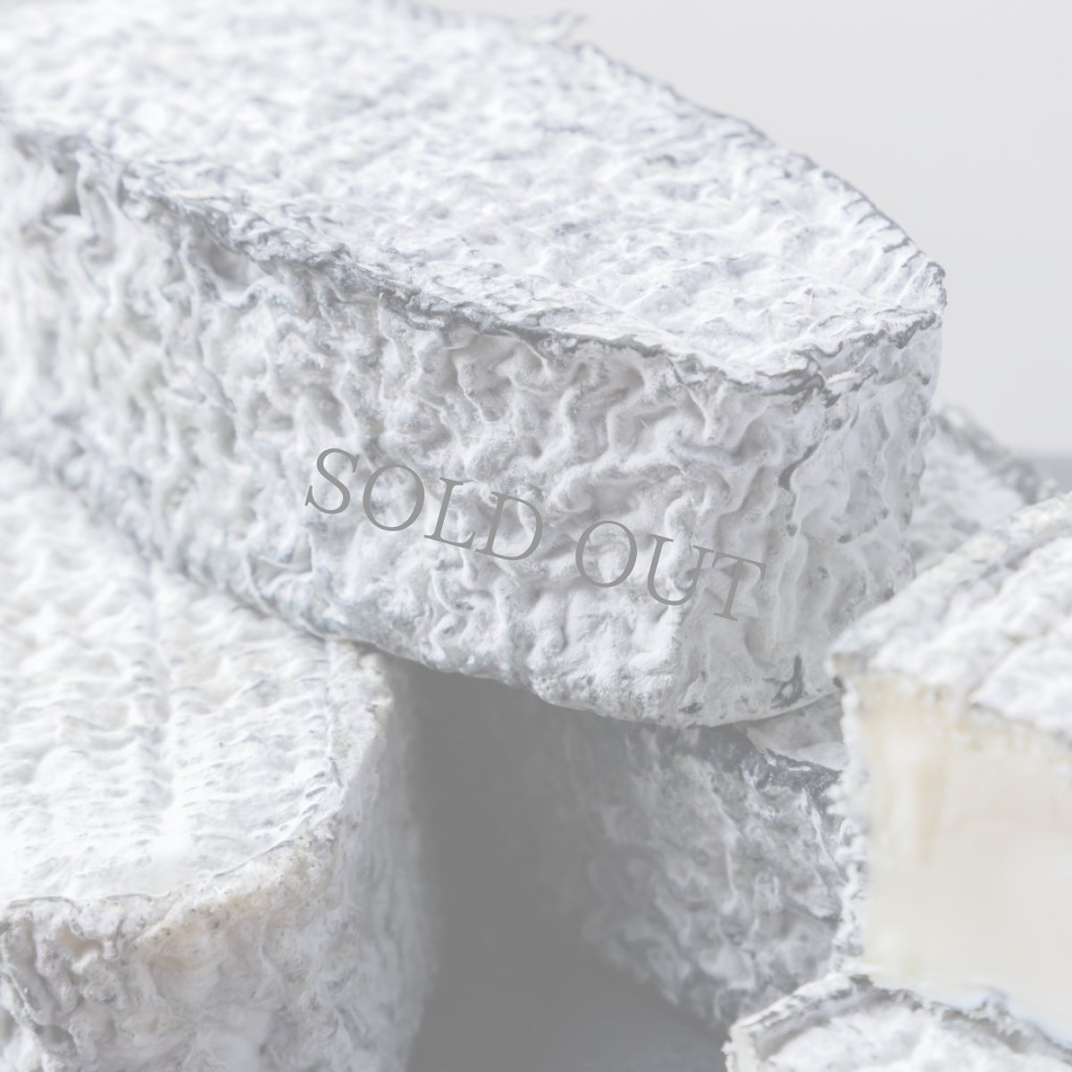 画像4: オヴァリ・サンドレ＜OVALIE CENDR?E＞ (4)