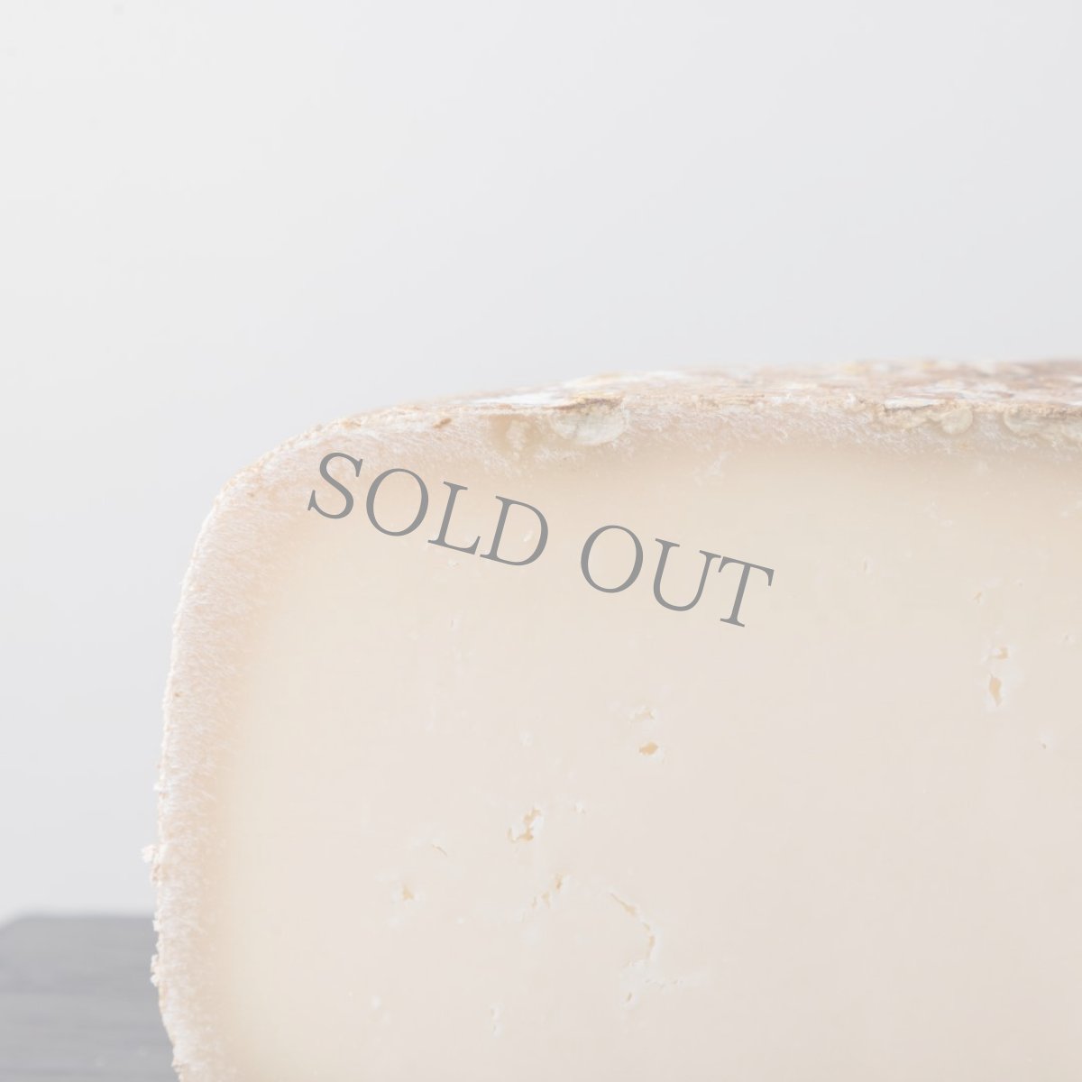 画像2: ピレネーブルビー＜PYRENEES BREBIS＞ (2)