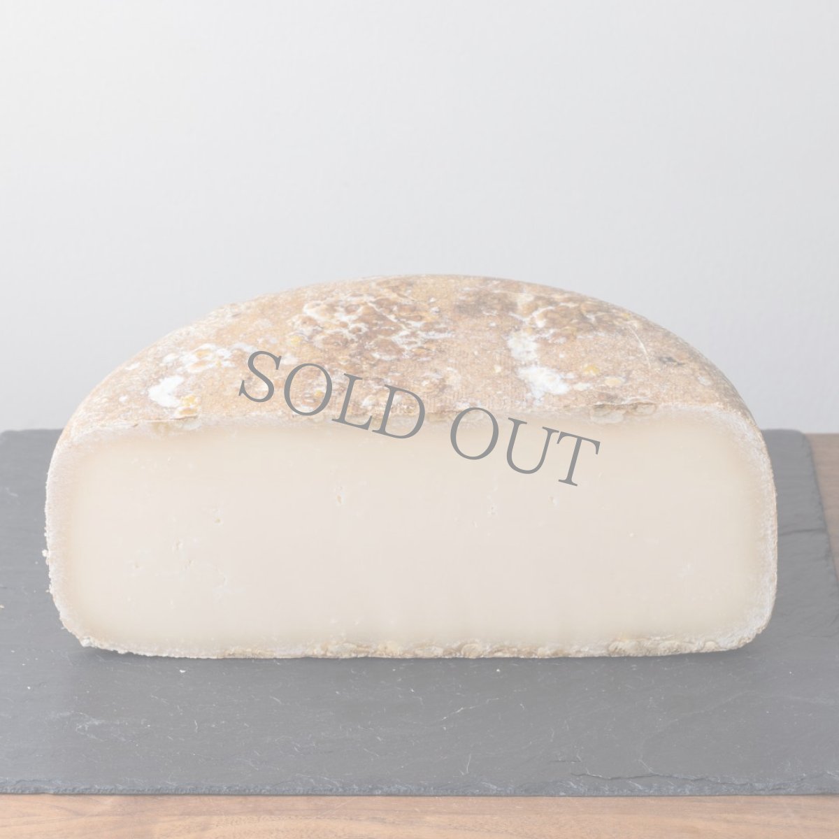 画像3: ピレネーブルビー＜PYRENEES BREBIS＞ (3)