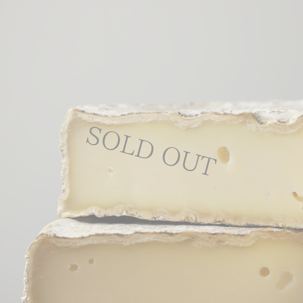 画像3: サンネクテール農家製＜SAINT NECTAIRE FERMIER＞ (3)