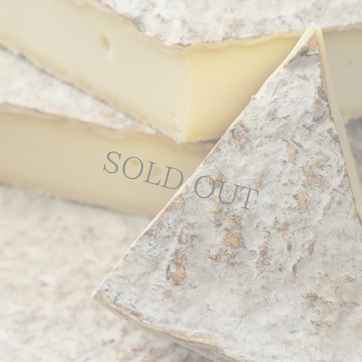 画像4: サンネクテール農家製＜SAINT NECTAIRE FERMIER＞ (4)