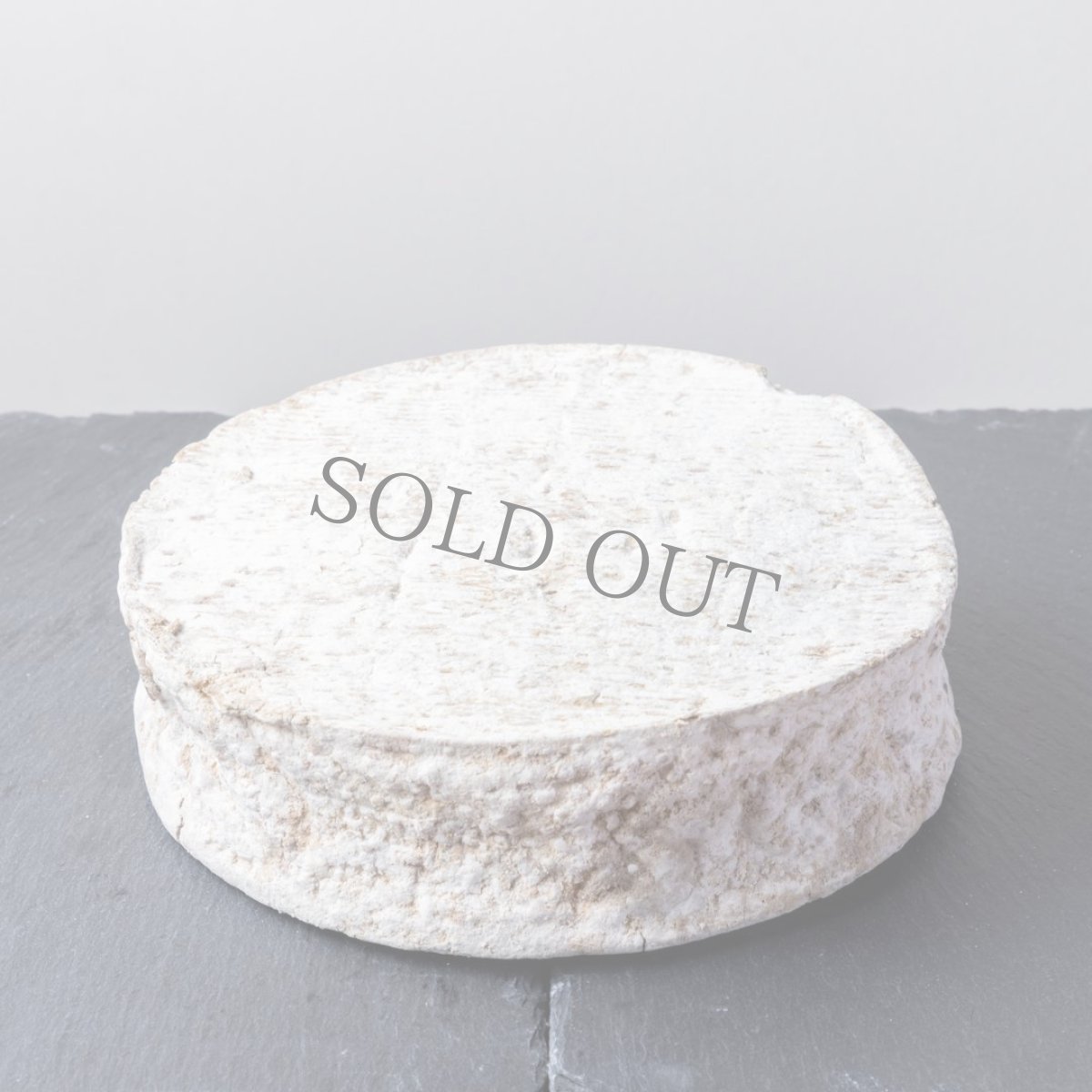 画像3: トムクライユーズ<TOMME CRAYEUSE> (3)