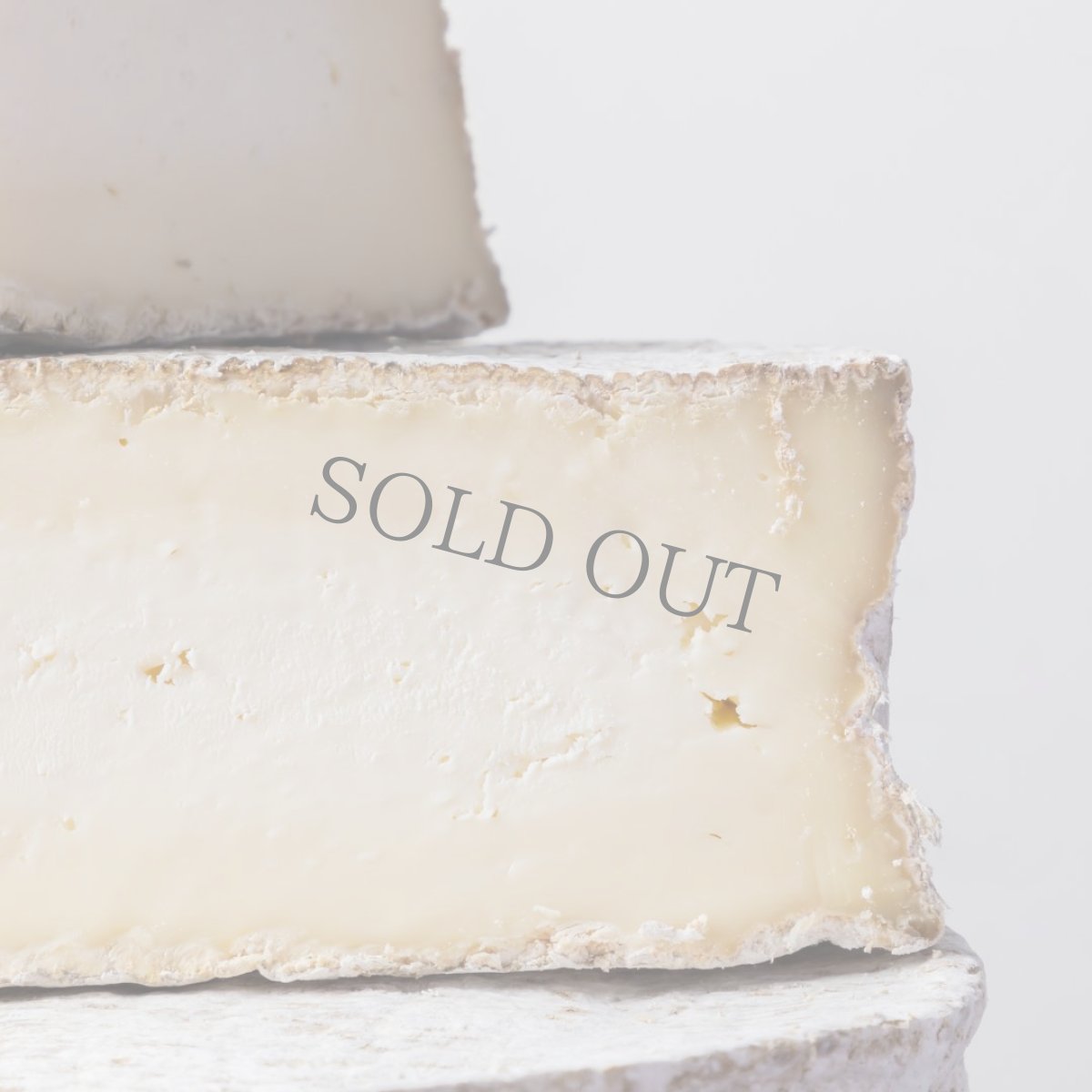 画像2: トムクライユーズ<TOMME CRAYEUSE> (2)