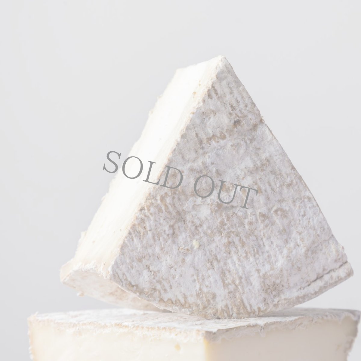 画像5: トムクライユーズ<TOMME CRAYEUSE> (5)